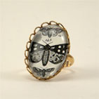 Speckled Wings Moth Petite Ring