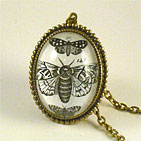 Moths, Moths, Moths Deluxe Necklace