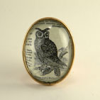 Wise Old Owl Brooch